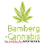 Bamberg Cannabis (Brücken Apotheke)