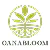 Canabloom (Daimler Apotheke, Wiesbaden)