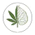 Cannatilia (Linden-Apotheke)
